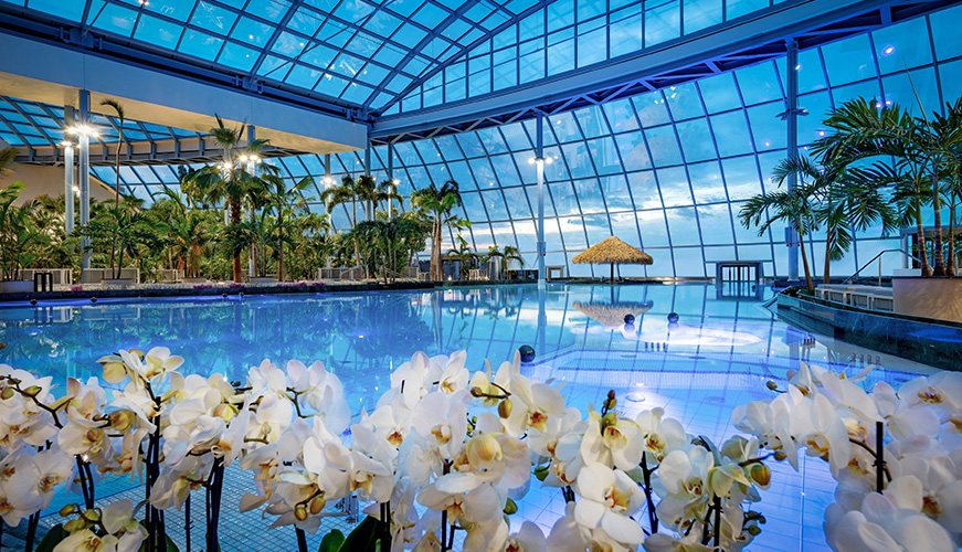 Luxury indoor swimming pool with glass ceiling, surrounded by tropical palm trees and white orchids in the foreground, overlooking blue sky