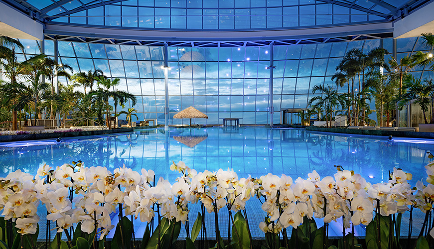 Luxury indoor swimming pool with glass ceiling, surrounded by tropical palm trees and white orchids in the foreground, overlooking blue sky